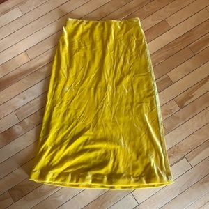 Anthropologie Velvet Skirt